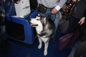 IMG_1052