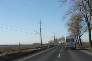 IMG_2492