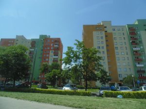 GLOG_MIASTO
