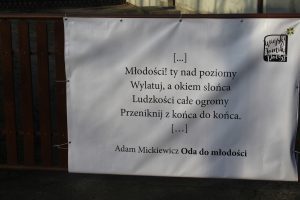 IMG_5512