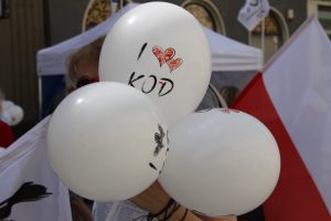 IMG_7084