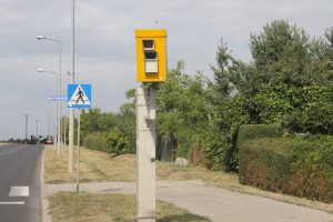 IMG_0251