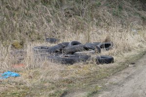 IMG_3426