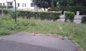 20140731_204839
