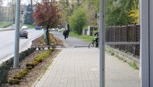 IMG_3551