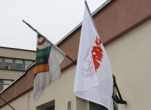 IMG_7794