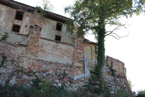 IMG_9042