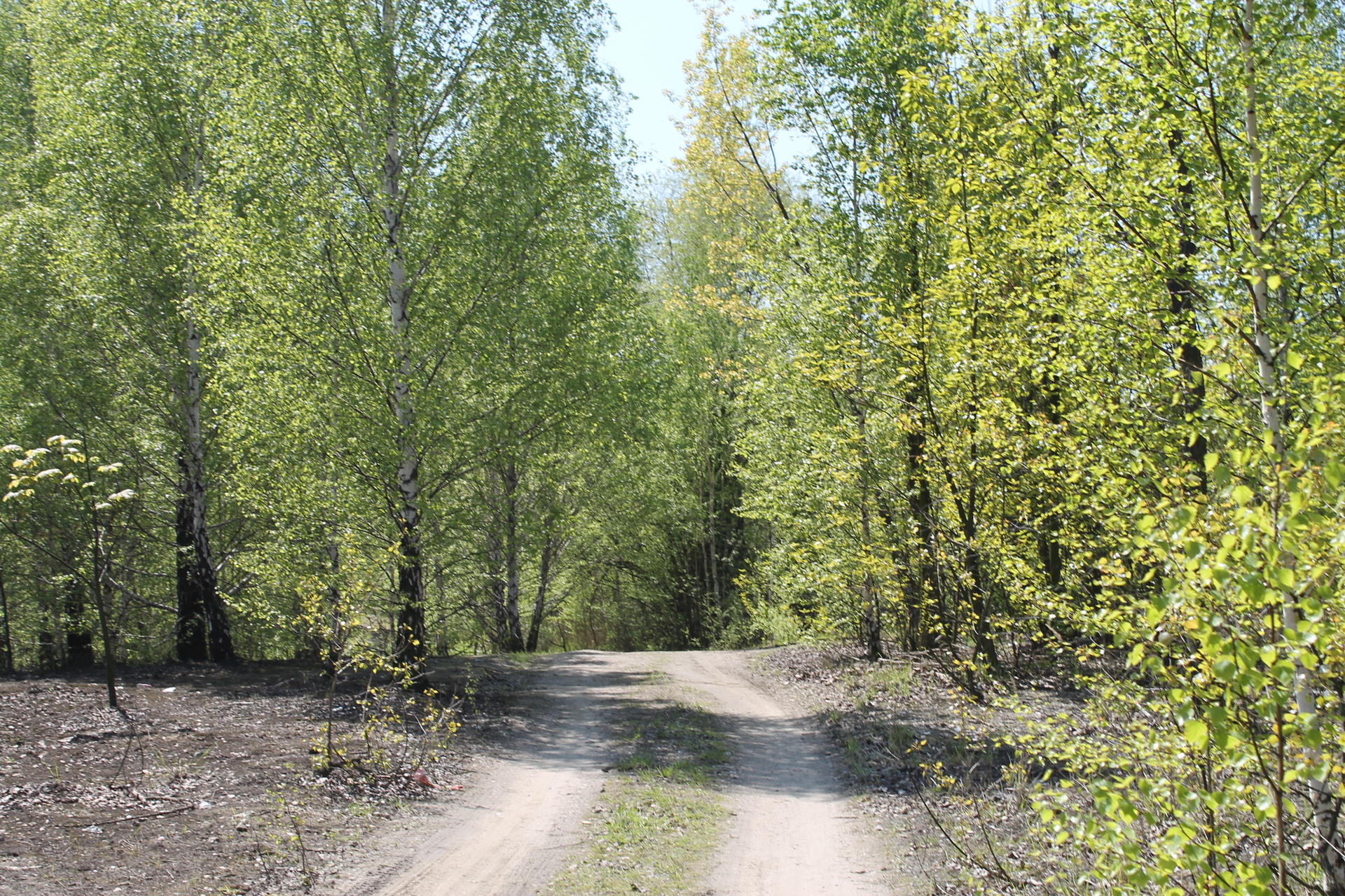 LUBIN. Miasto wspólnie z lotniskiem