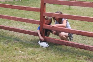 IMG_0097