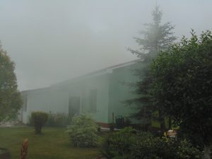 DSC07172