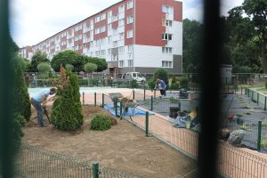 IMG_1462