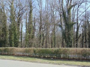 RADWAN_PARK