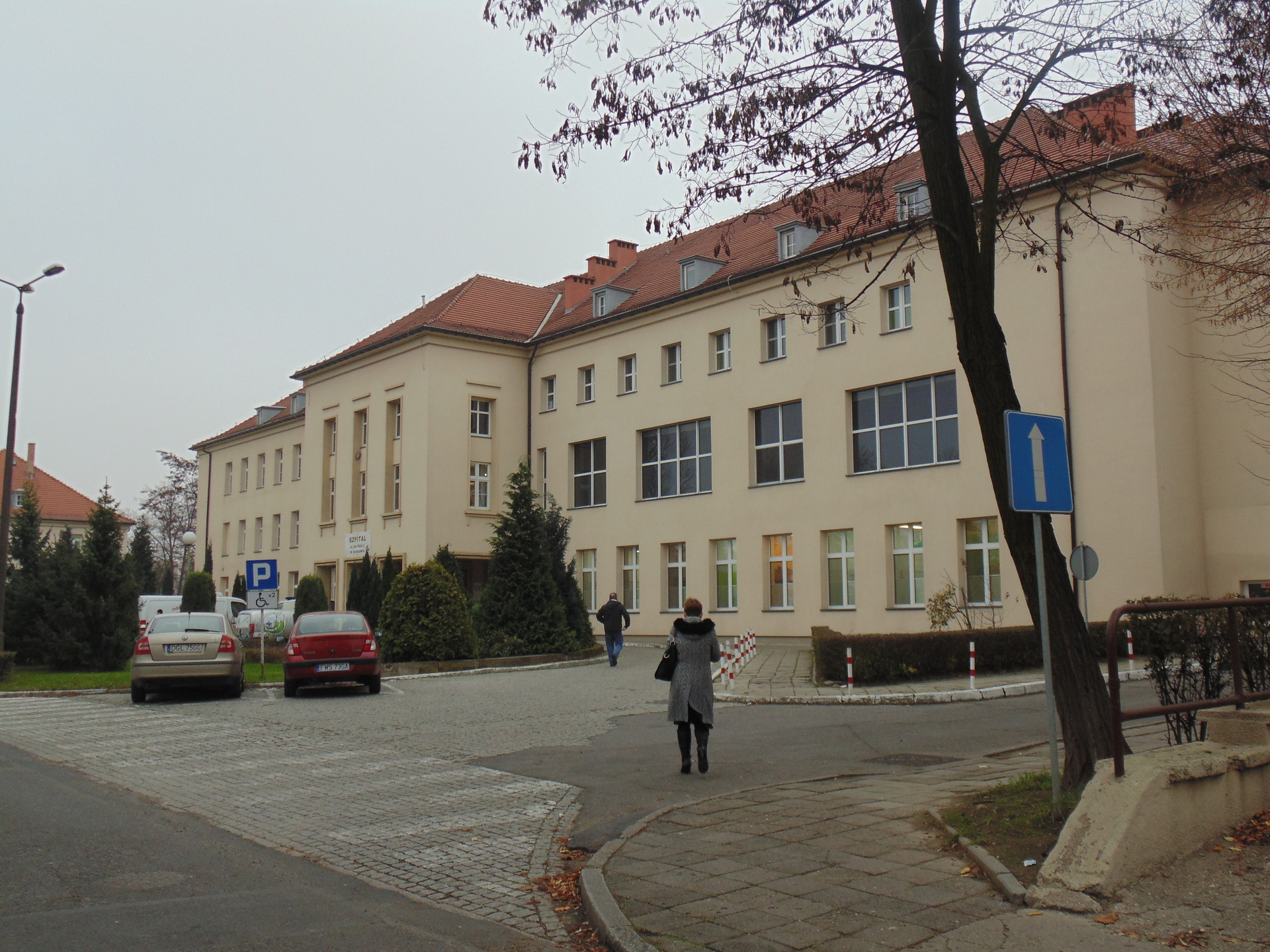 GAWORZYCE. Dramat w Dalkowie. Kobieta walczy w szpitalu o życie (WIDEO)