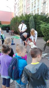 IMG_20150918_100806
