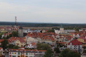 POLKO_WIDOK
