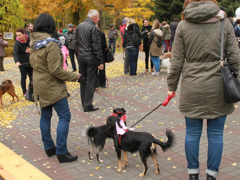 GŁOGÓW. Kundle przeszły ulicami miasta (FOTO)