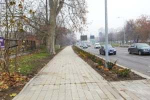 Chodnik Witelona