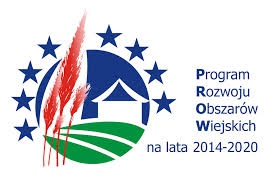 WĄDROŻE WIELKIE. Ustalą strategię rozwoju