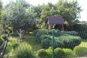 DZIALKA