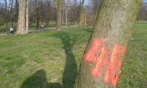 20160328_162632
