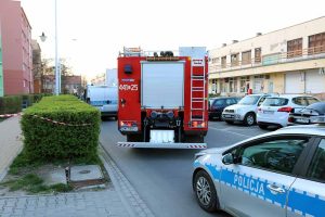 IMG_0611dd