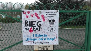 IMG_20160416_105422