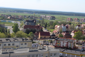 POLKO_MAJ