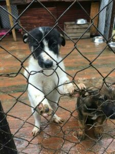 mms_img-29229876