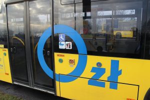 Fot. Lubin.pl