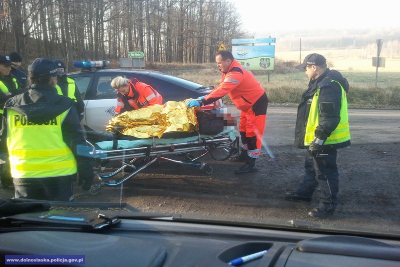 GMINA PASZOWICE. Wjechał w drzewo i uciekł do lasu