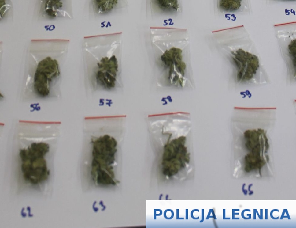 Handlarze narkotyków w rękach policji