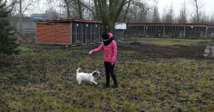 wolontariat2