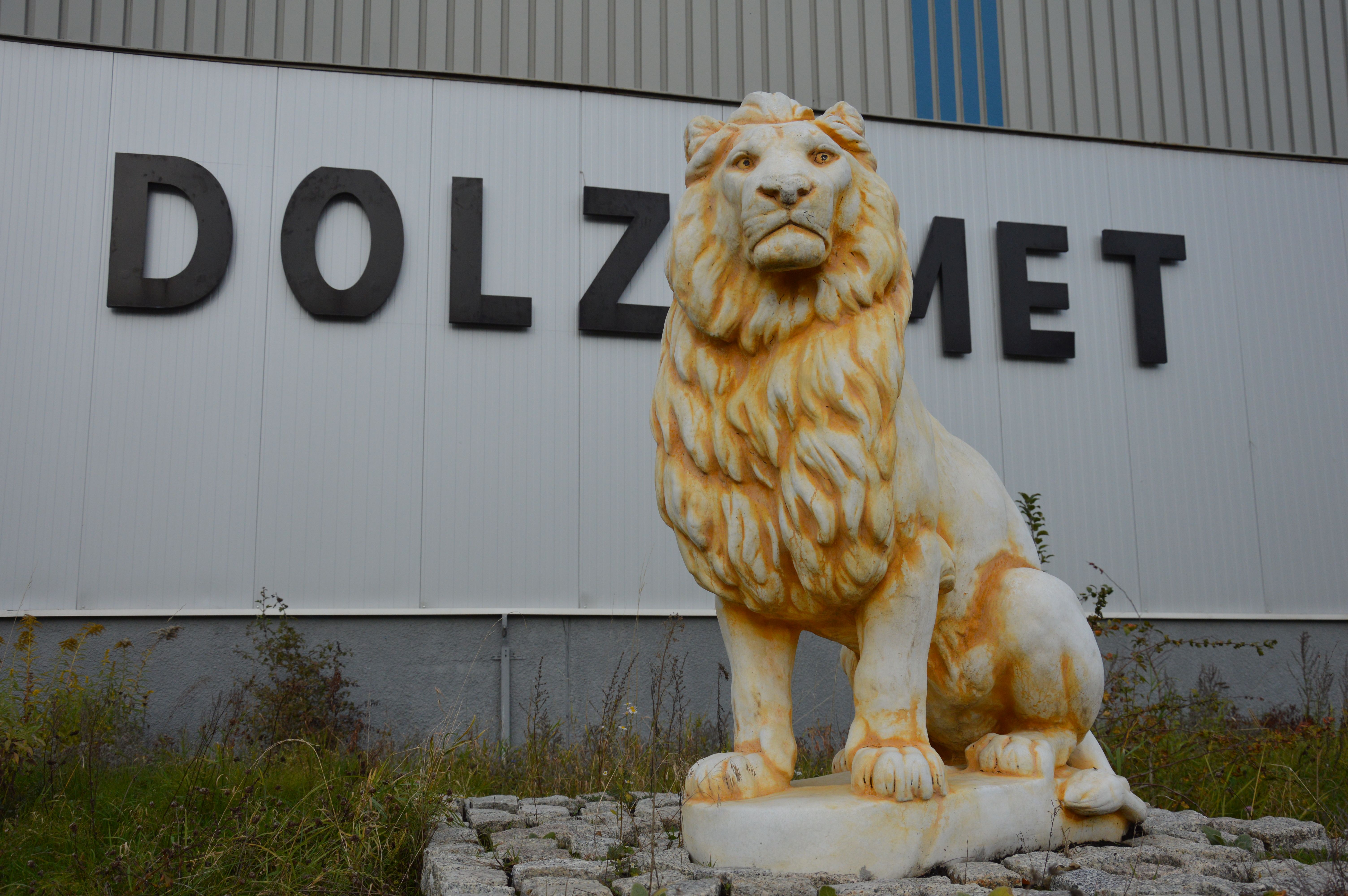 Koreańczycy stawiają Dolzamet na nogi