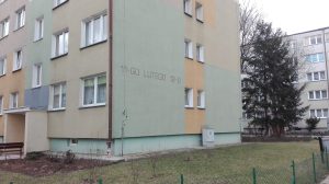 11_LUTEGO