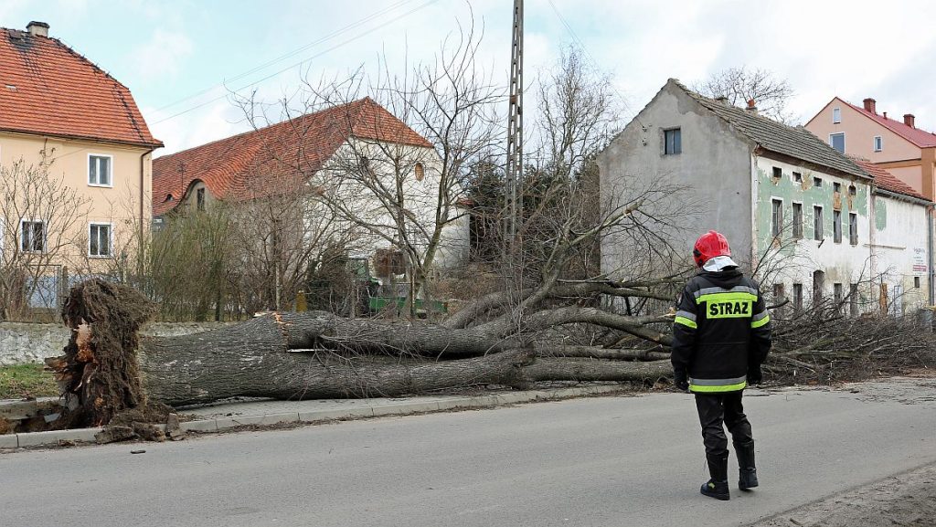 Kolejna wichura nad regionem – dziś lepiej zostać w domu