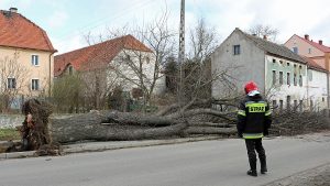 Mściwojów wiatrołom wichura wiatr