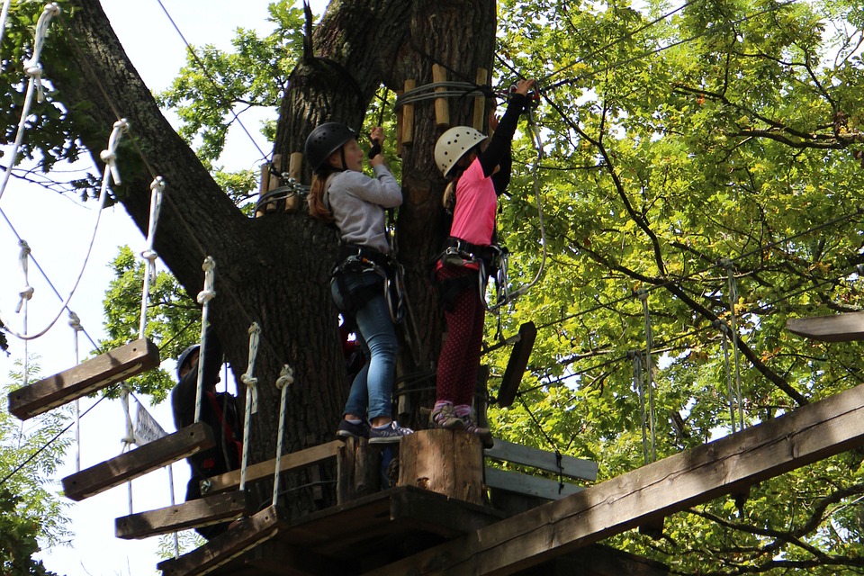 Chcą mieć park survivalowy (WIDEO)