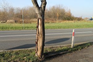 IMG_9047