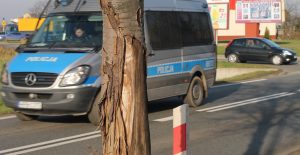 IMG_9049