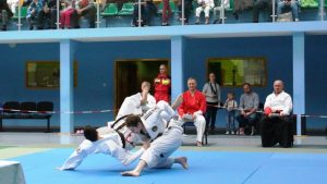 ju jitsu8