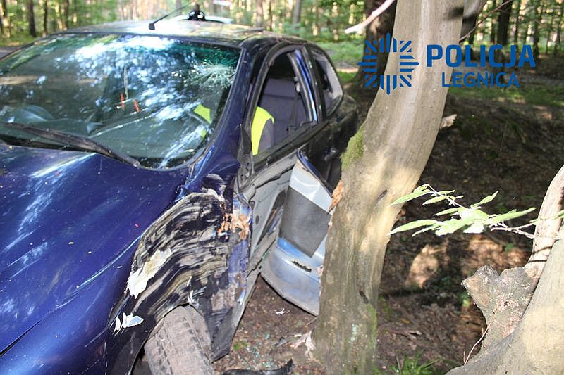 Ucieczka przed policją skończyła się na drzewie