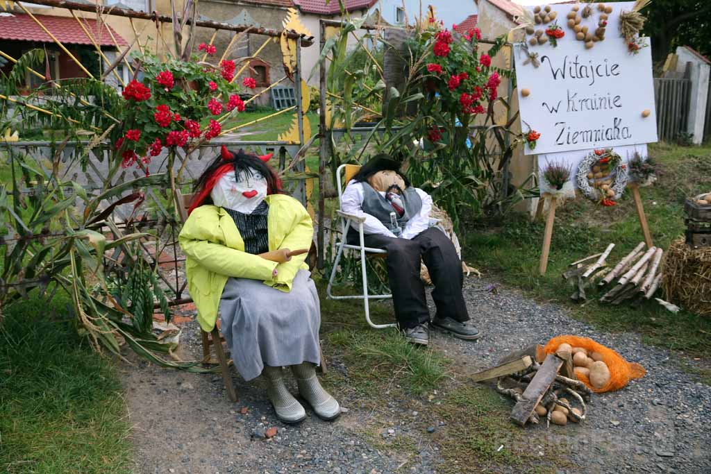 Pieczone ziemniaki tu smakują najlepiej (FOTO, WIDEO)