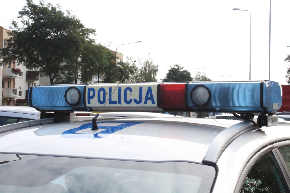 55-letnia grzybiarka wpadła pod samochód