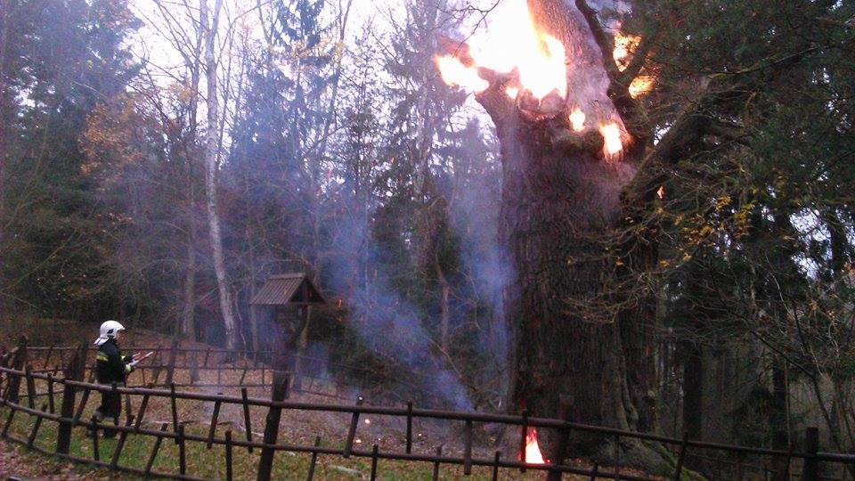 Po pożarze Dąb „Chrobry” nadal walczy (FOTO)