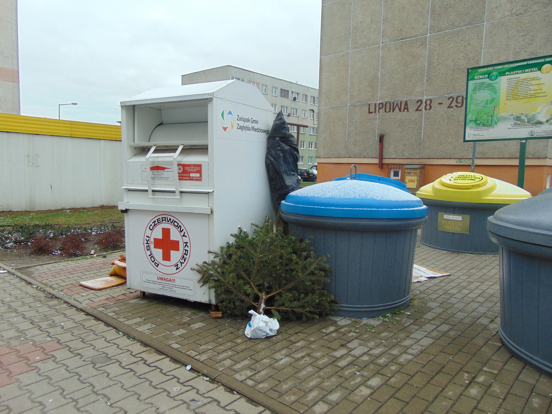 Święta i po świętach – co zrobić z choinką?