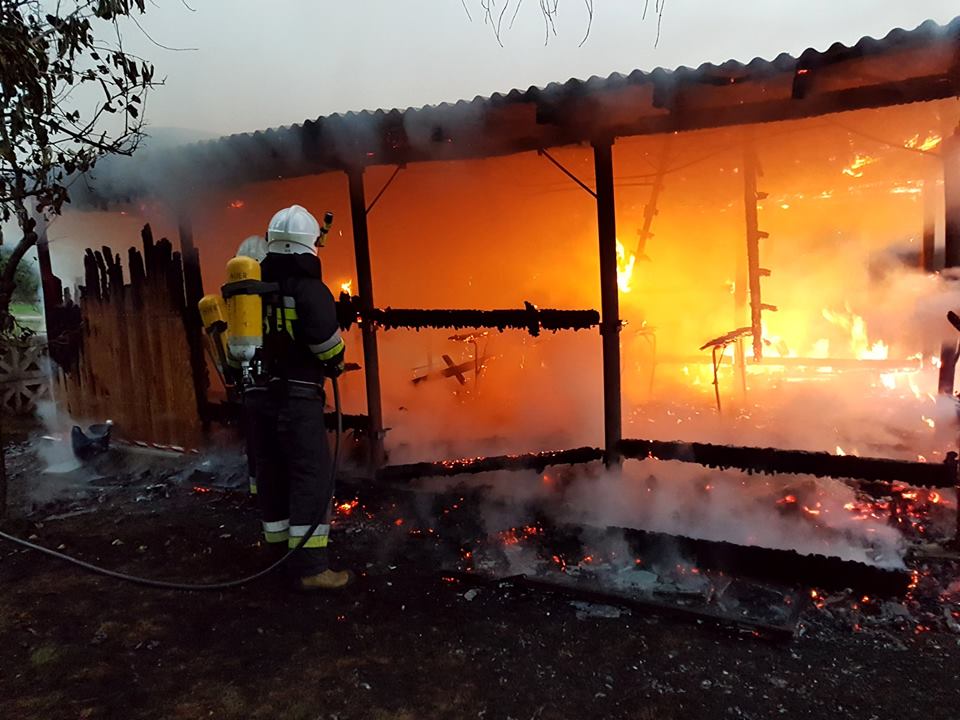 Ogromny pożar lasu. Ogień gasił samolot (FOTO)