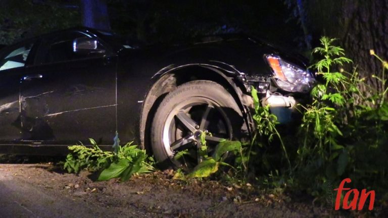 Kolizja w środku lasu (FOTO, WIDEO)