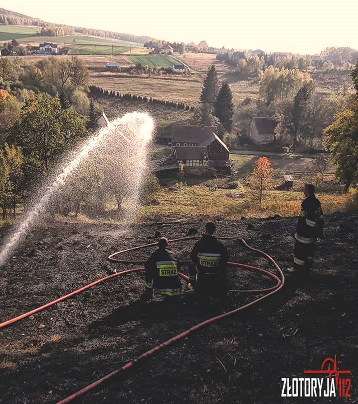 Wypalali nieużytki i spowodowali pożar (FOTO)