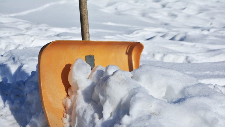 Straż miejska przypomina o obowiązkach zarządców
