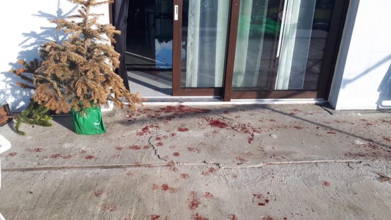 Policjanci zabili psa, drugiego ciężko zranili